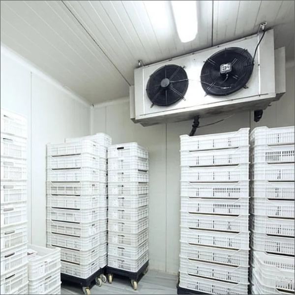 ap proy refrigeracion industrial 01