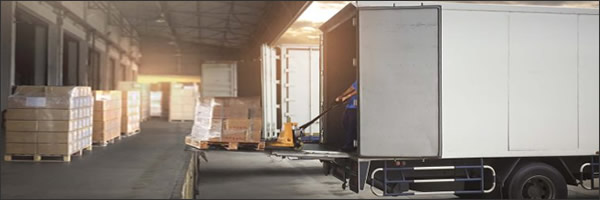 Proyectos servicio carga transporte 01